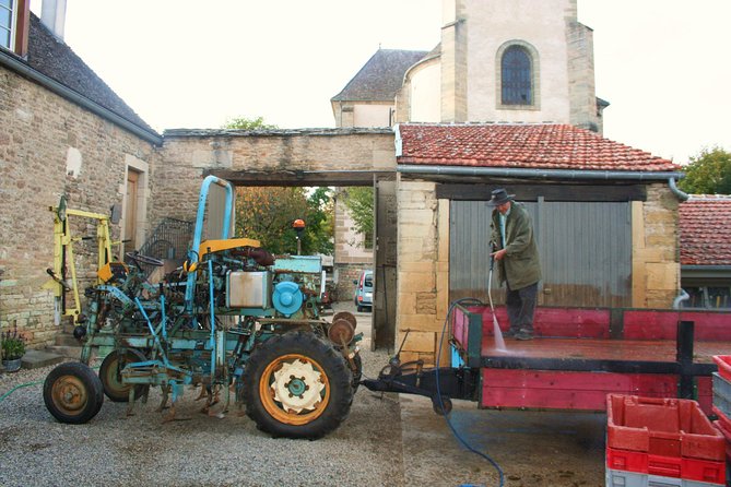 Burgundy Bike Tour with Wine Tasting from Beaune - The afternoon tasting near Pommard, Volnay, or Meursault