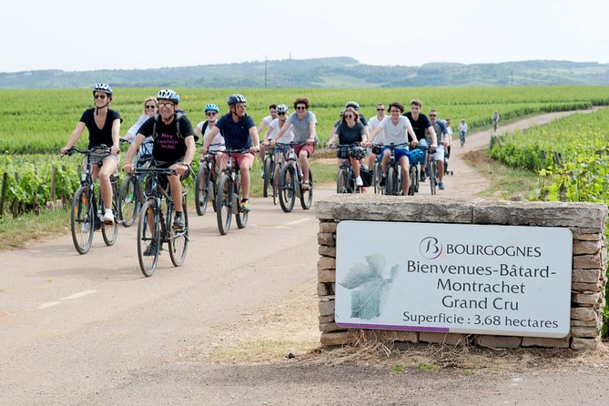 Burgundy Bike Tour with Wine Tasting from Beaune - Regular bike or e-bike?