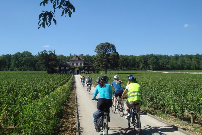Burgundy Bike Tour with Wine Tasting from Beaune - Weather, clothing, and physical effort