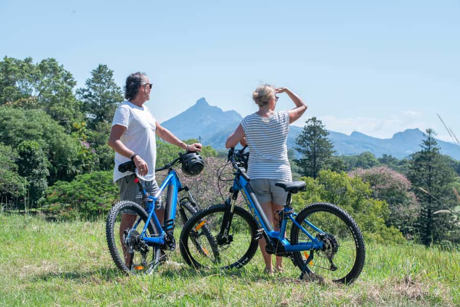 Byron Bay: Northern Rivers Rail Trail E-Bike Hire & Shuttle - A rail trail with rainforest, farms, and a dark tunnel