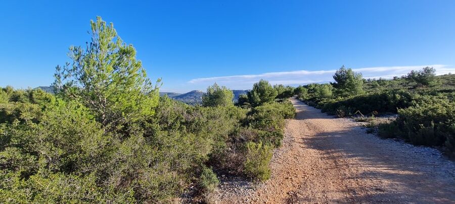 Calanques National Park: E-Mountain Bike with Virtual Guide - Port Miou, beaches, vineyards, and Cassis