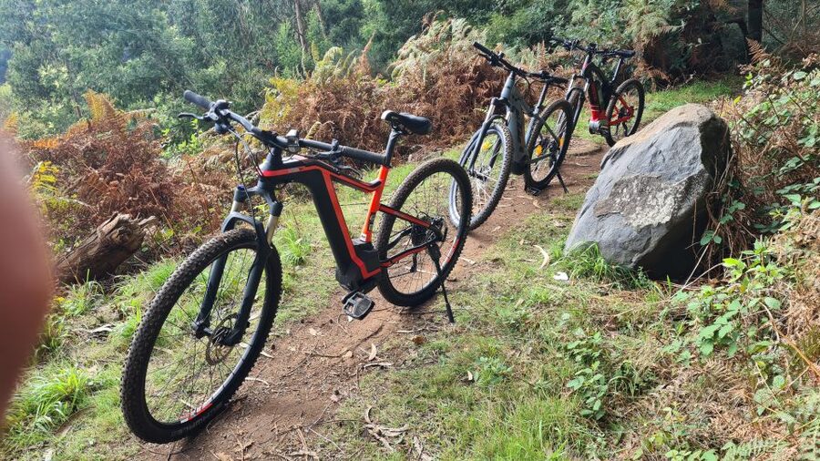 Camacha: Levada Trail e-Bike Guided Tour - Key points at a glance