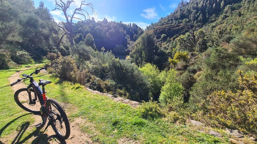 Camacha: Levada Trail e-Bike Guided Tour - Price, timing, and what to bring