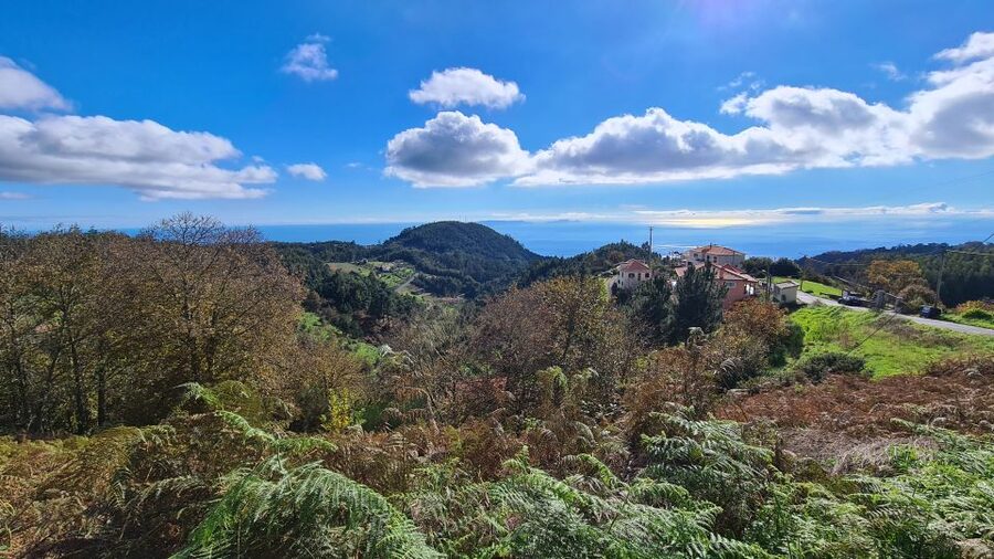 Camacha: Levada Trail e-Bike Guided Tour - Why this Camacha ride is worth your morning