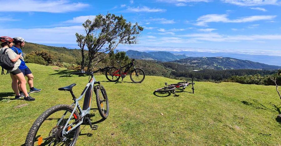 Camacha: Levada Trail e-Bike Guided Tour - Following the levada through eucalyptus and laurel