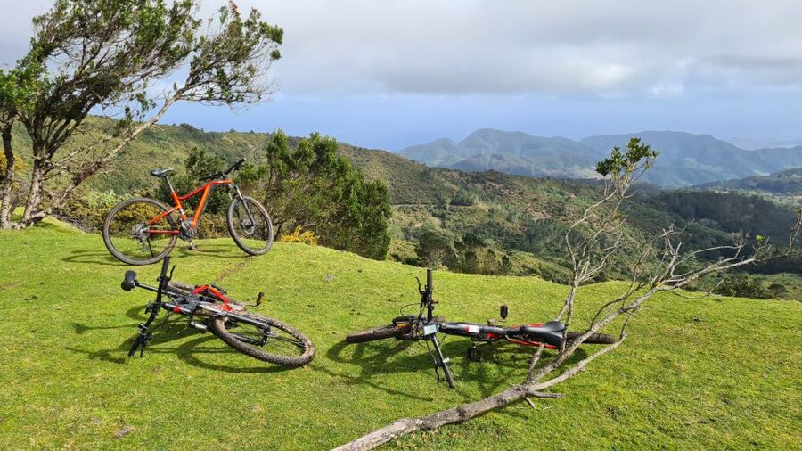 Camacha: Levada Trail e-Bike Guided Tour - A gentler return through oak woodland