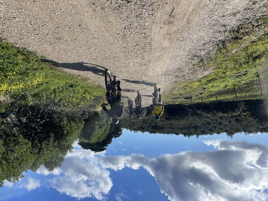 Cascais-Sintra E-bike Tour: Coast & Countryside Adventure - What the electric bikes change