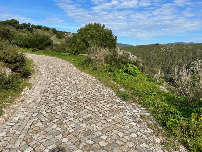 Cascais-Sintra E-bike Tour: Coast & Countryside Adventure - Who will enjoy this ride most?