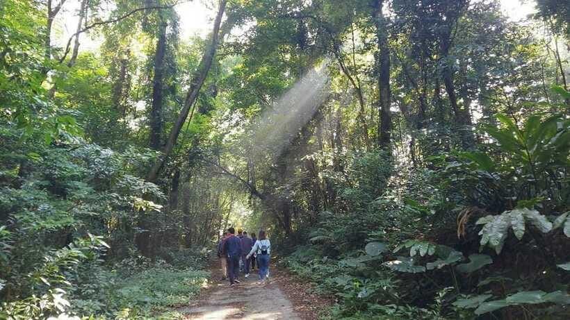 Cat Ba: National Park Day Trip with Cycling and Kayaking - What the $66 price really covers