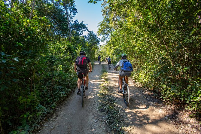 Cenotes trail jungle bike tour in Tulum with lunch - Lunch in the forest is more than a break