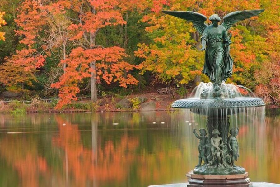 Central Park Bike Rental - The bikes, equipment, and comfort