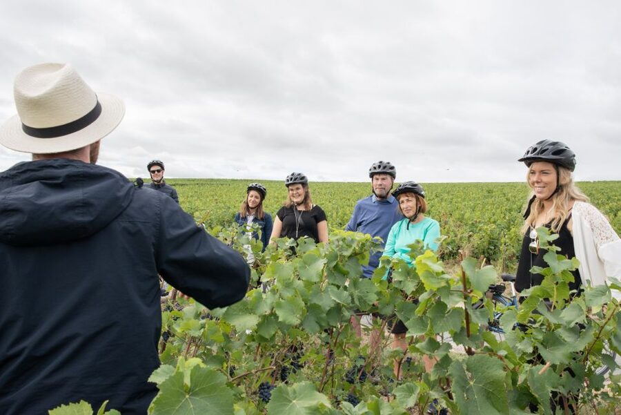 Champagne: E-Bike Champagne Day Tour with Tastings and Lunch - Practical details that can make the day smoother