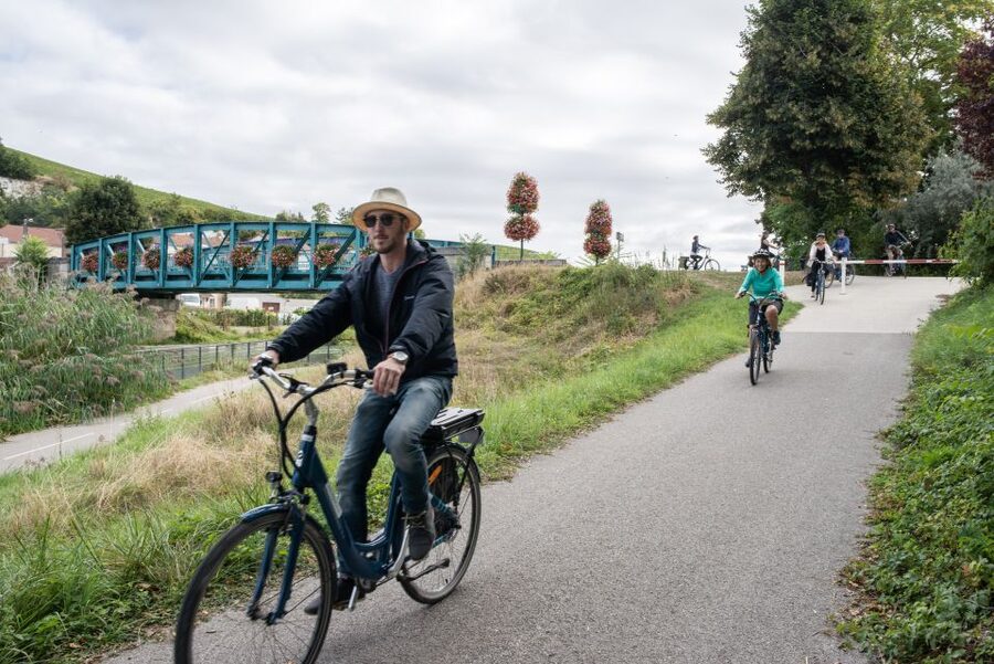 Champagne: E-Bike Champagne Day Tour with Tastings and Lunch - Is $224 a fair price?