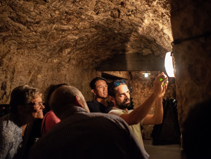 Champagne: E-Bike Champagne Day Tour with Tastings and Lunch - Who should book this Champagne day?