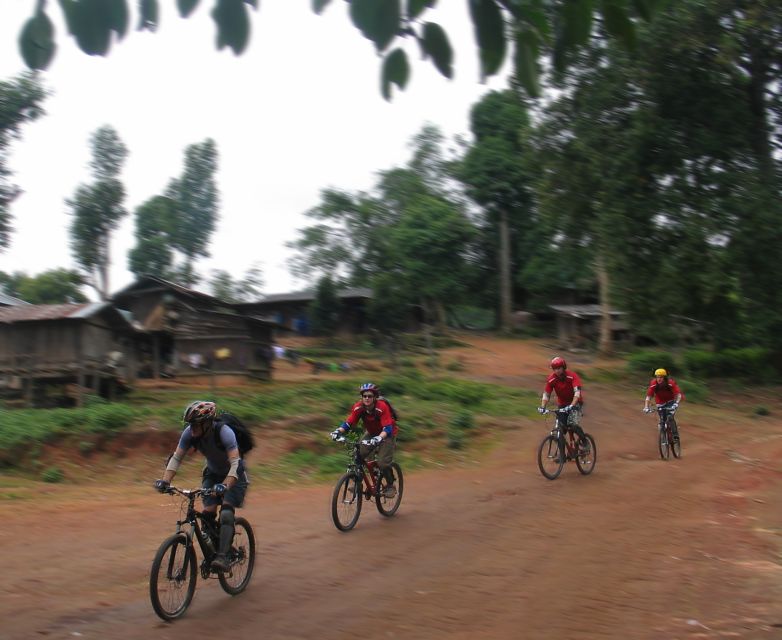 Chiang Mai: 20km Downhill Mountain Biking Challenge Suthep M - What the $60 price includes