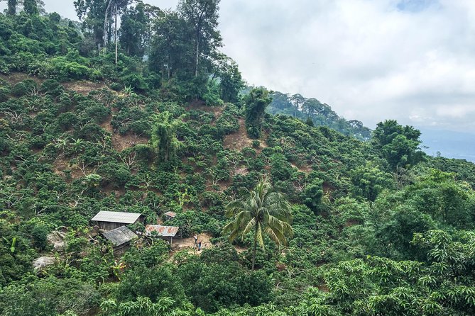 Chiang mai Hike & Downhill Bike Adventure –Suthep National Park - Huay Tueng Thao Lake, a good finish to a hard day