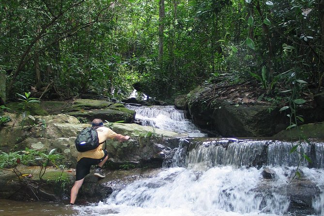 Chiang mai Hike & Downhill Bike Adventure –Suthep National Park - The Mon Da Than trail, where the workout begins