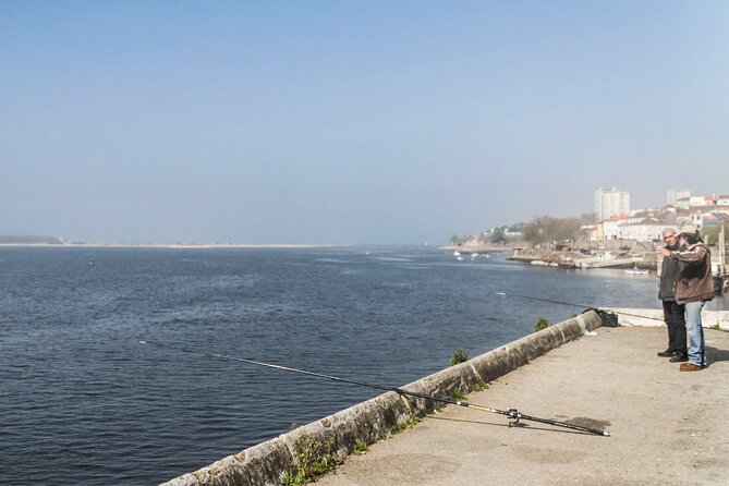 City Bike Rental in Porto - Choosing a Route Along the Douro