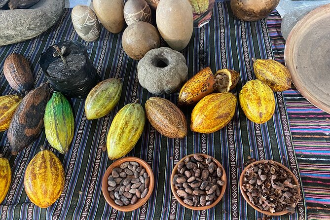 Coffee and Gastronomic Bike Tour in Antigua - What you learn about Guatemalan coffee