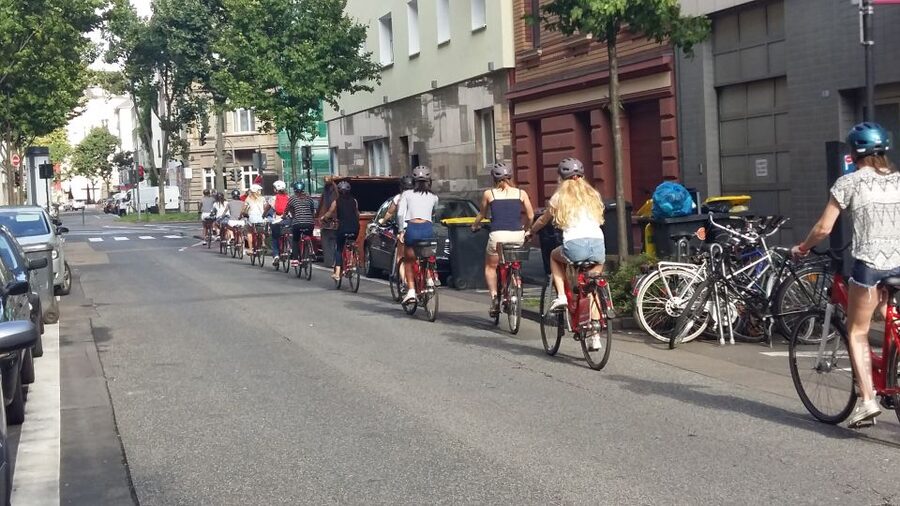 Cologne: 3-Hour Guided Bike Tour - Cologne Cathedral, Museum Ludwig, and the old town