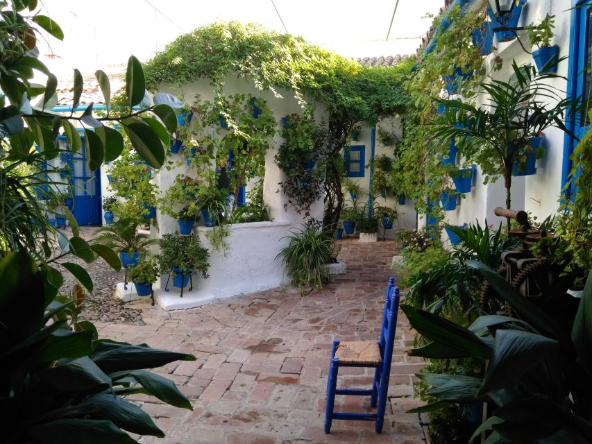 Córdoba Daily Highlights Bike Tour - Francisco’s History and Food Advice