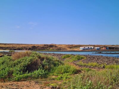Corralejo: E-Bike Rental with Map to Popcorn Beach
