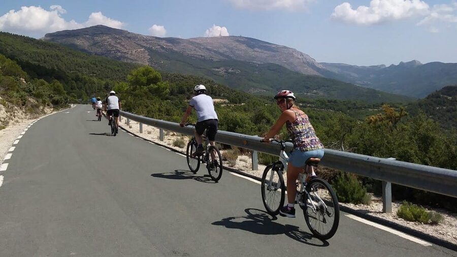 Costa Blanca Downhill Bike Ride - A drink, certificate, and return to the coast
