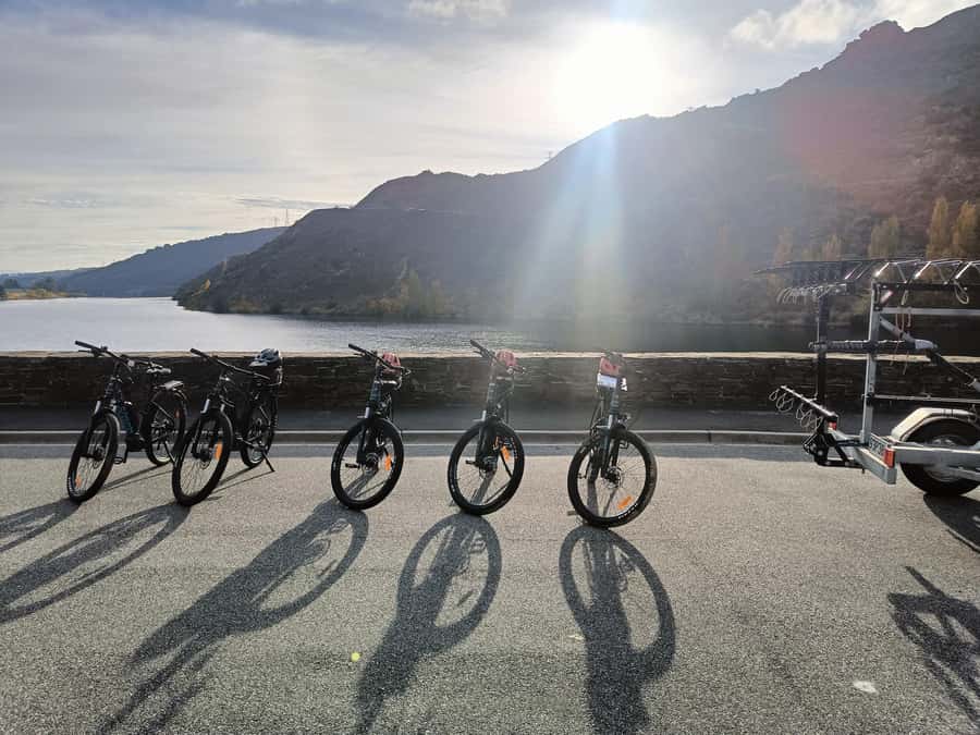Cromwell: Lake Dunstan Trail Bike Rental and Luxury Shuttle - Picking the right bike for 42km