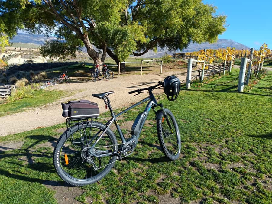 Cromwell: Lake Dunstan Trail Bike Rental and Luxury Shuttle - The ride from Cromwell to the Hugo bridge