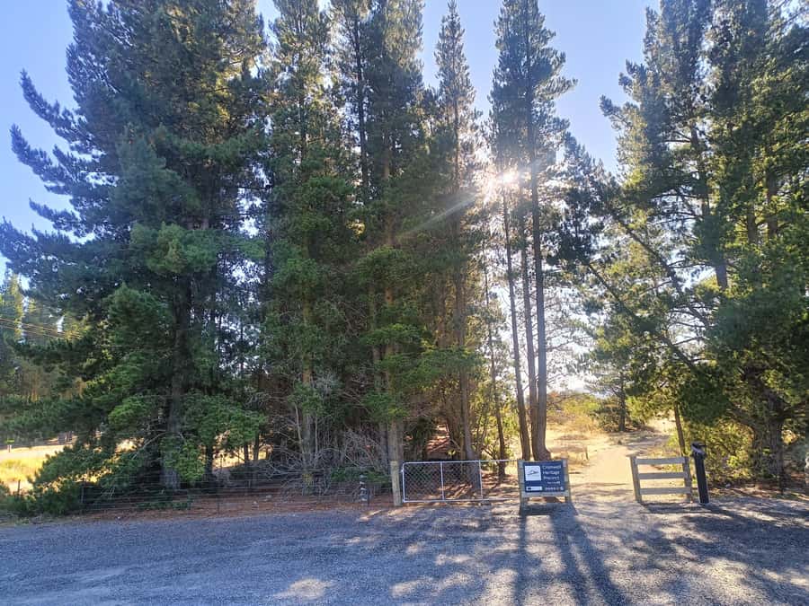 Cromwell: Lake Dunstan Trail Bike Rental and Luxury Shuttle - Carrick Winery and the rhythm of the day