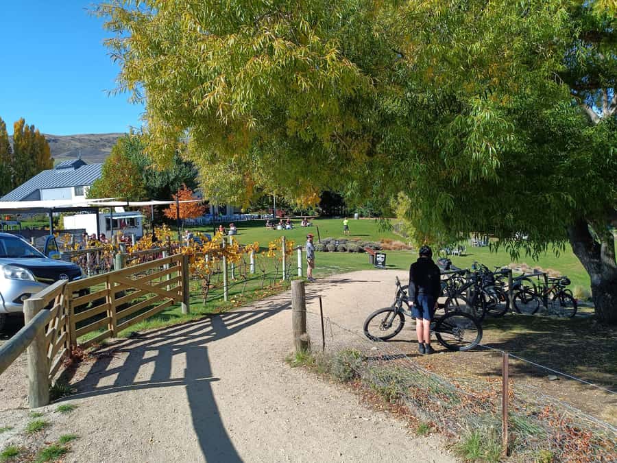 Cromwell: Lake Dunstan Trail Bike Rental and Luxury Shuttle - Who will enjoy this ride most