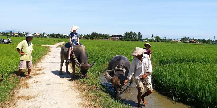 Da Nang or Hoi An: Countryside Bike & Basket Boat Tour - Key points to know before booking