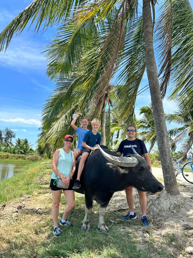Da Nang or Hoi An: Countryside Bike & Basket Boat Tour - Into Cam Thanh’s coconut forest by basket boat
