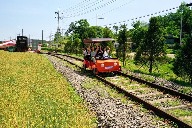 Day Trip to Nami Island with Rail bike and The Garden of Morning Calm - Why this day trip works beyond Seoul