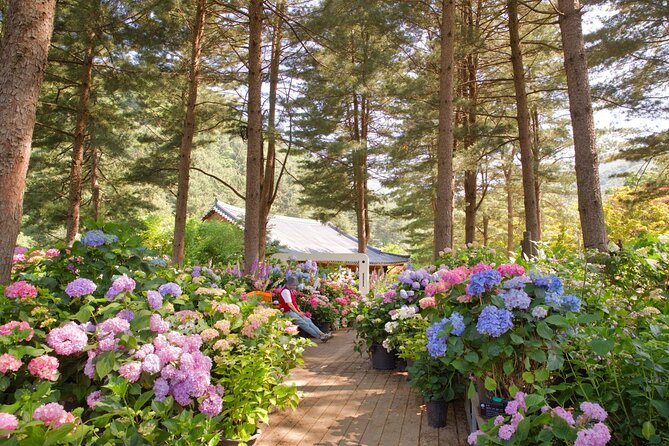 Day Trip to Nami Island with Rail bike and The Garden of Morning Calm - Gangchon Rail Bike Park and the old railway