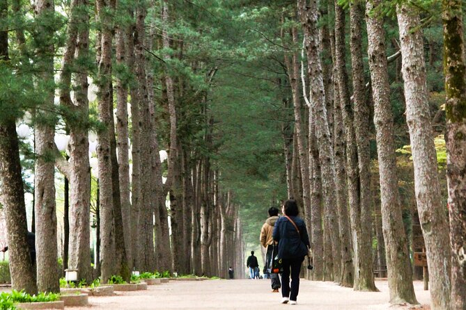 Day Trip to Nami Island with Rail bike and The Garden of Morning Calm - The Garden of Morning Calm in 90 minutes