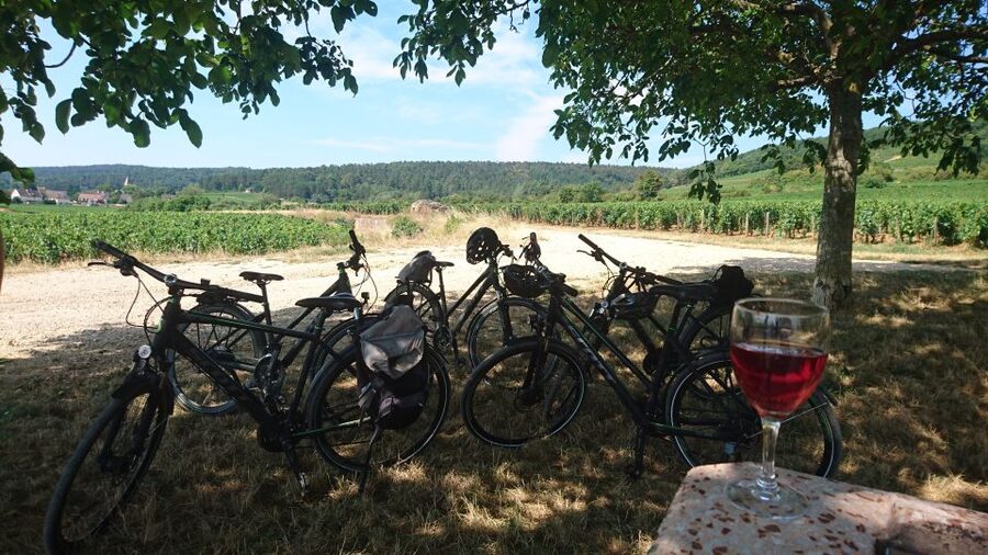 Dijon: Half-Day Guided Gourmet Bike Tour - Starting in Chenôve, not central Dijon
