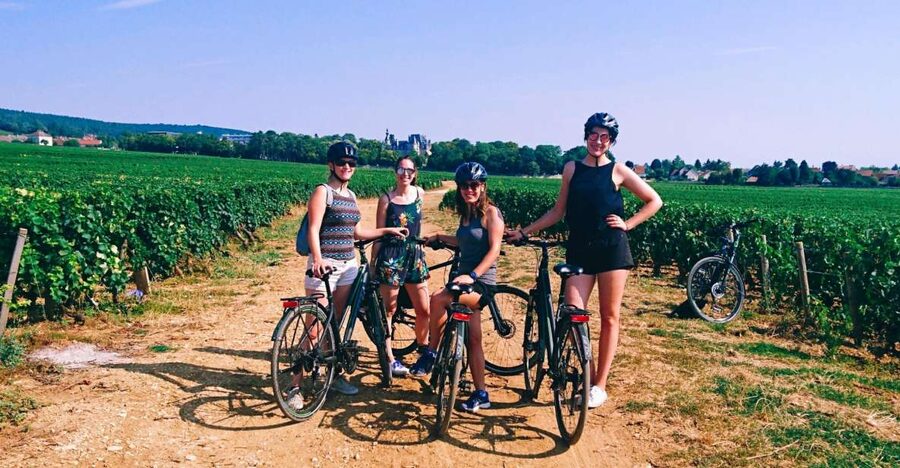 Dijon: Half-Day Guided Gourmet Bike Tour - What the tasting really includes