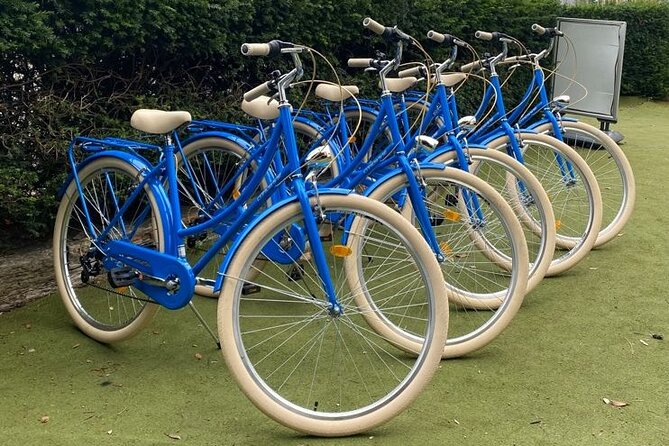 Dublin Full Day Bike Rental - Choosing between standard bikes, e-bikes, and trailers