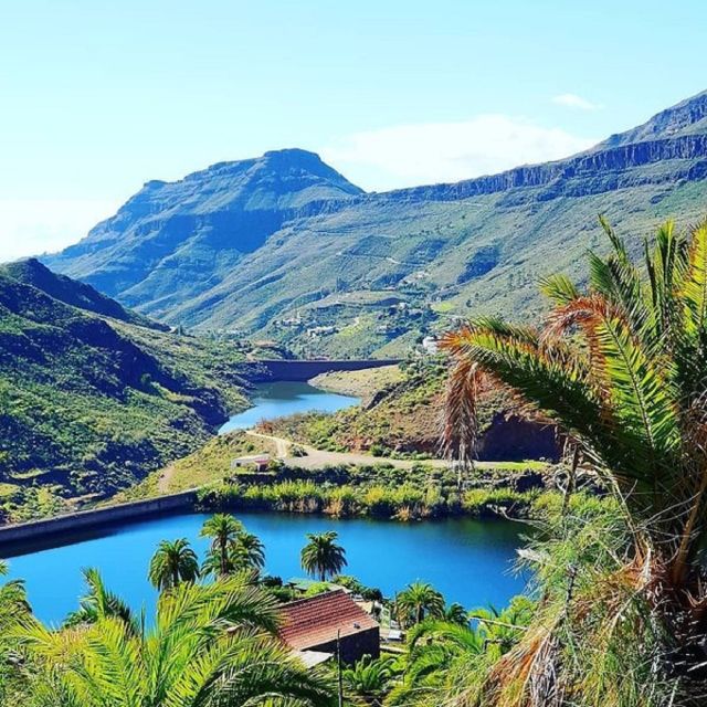 E-Bike Mountain Tour in Natural Park +Option Tapas in a Cave - Who will enjoy this ride most