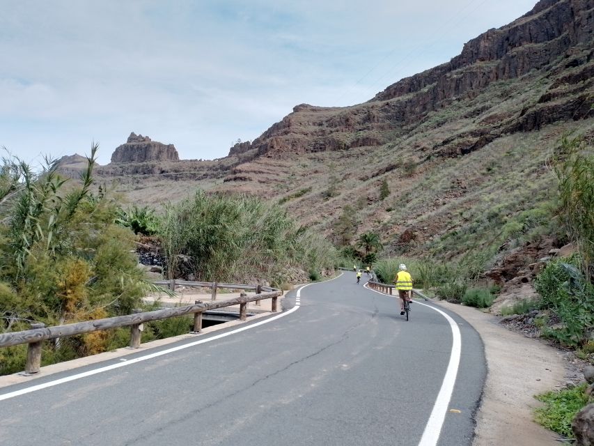 E-Bike Mountain Tour in Natural Park +Option Tapas in a Cave - Group size, guides, and communication