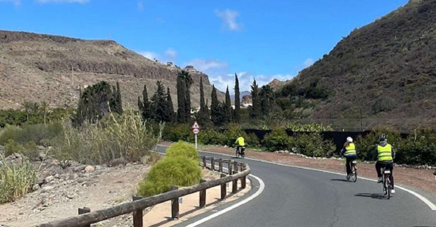 E-Bike Mountain Tour in Natural Park +Option Tapas in a Cave - Parque del Sur and the island’s plant life