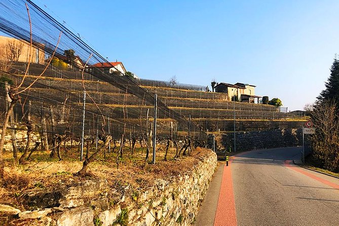 E-Bike Tour Lake Como and Swiss Vineyards - Stone streets and lake views in Moltrasio