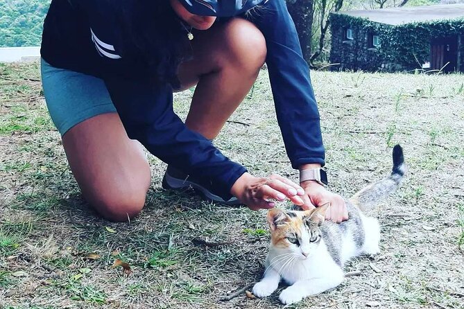 E-Bike Tour Monte Brasil | Terceira Island - The summit views: Angra, Santa Bárbara, and distant islands