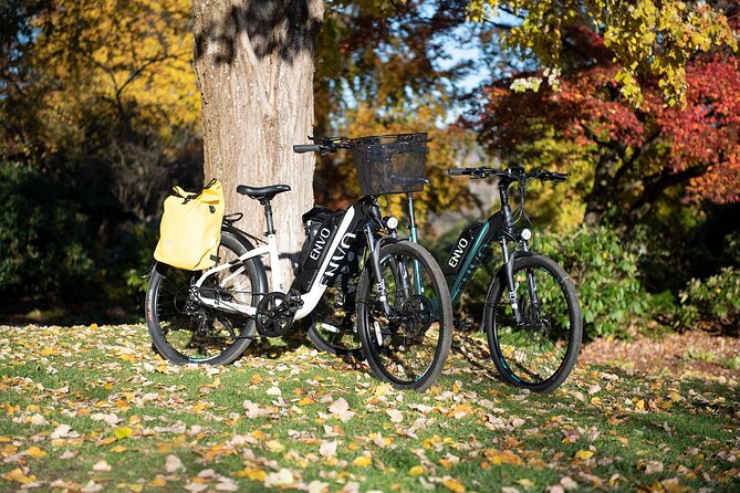 eBike Rentals in Kelowna - Who will enjoy this rental most