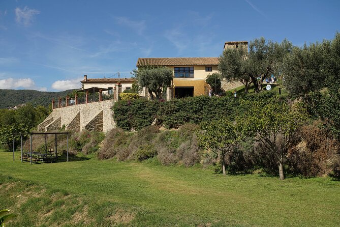 Ebike Tour, Winery, Wine Tasting & Sailing Experience(car option) - Choosing the car option