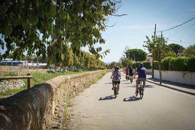 Ebike Tour, Winery, Wine Tasting & Sailing Experience(car option) - Who will get the most from this outing