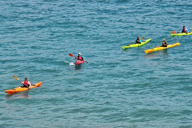 Elafiti Islands Sea kayaking: Full-Day Bike and Kayak tour on Lopud and Šipan - Why this Dubrovnik day feels different