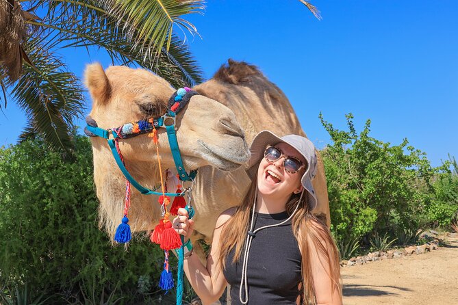Electric Bike and Beach Camel Ride with Mexican Buffet Lunch - How the day feels in practice
