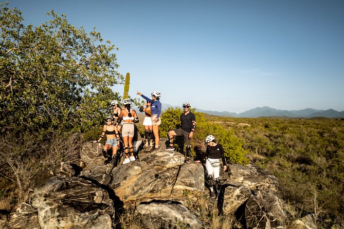 Electric Bike and Beach Camel Ride with Mexican Buffet Lunch - The real value at $169 per person